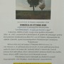 A Roasio la “Stracaslet”, passeggiata tra bricchi e vigne A Roasio la “Stracaslet”, passeggiata tra bricchi e vigne