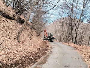 Quarona, manutenzione annuale sulla strada per il Monte Tovo: pulizia delle cunette e raccolta foglie