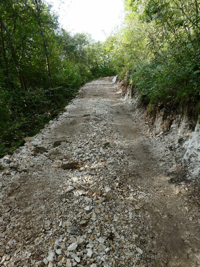 Aree Protette della Valsesia, oltre un milione di euro per sentieri e piste forestali tra Fenera e Alta Valle Aree Protette della Valsesia, oltre un milione di euro per sentieri e piste forestali tra Fenera e Alta Valle