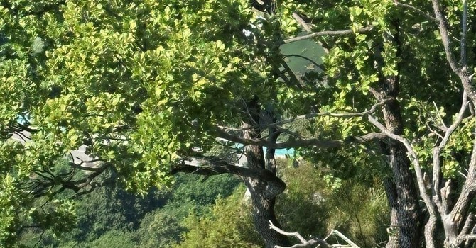 Soccorso sulla ferrata della Falconera: due escursionisti stremati riportati in sicurezza dal Soccorso Alpino