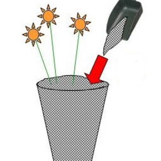 Lozzolo: Attività di prevenzione allo sviluppo incontrollato delle zanzare nei siti sensibili