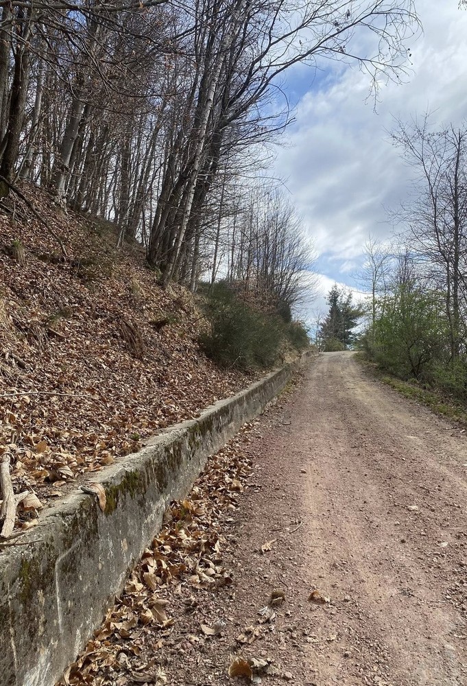 Valduggia, completato l’intervento sulla strada Maretti-Colma: a giugno previsto anche lo sfalcio della vegetazione