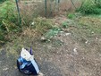 Volontari al lavoro a Gattinara, ripulite via Faglia, via Ottaviano e la zona industriale Volontari al lavoro a Gattinara, ripulite via Faglia, via Ottaviano e la zona industriale
