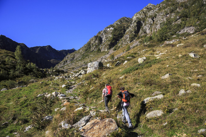 Val Vogna, lungo la Via Regia verso il Colle Valdobbia: un cammino di passaggio tra storia, ospizi e paesaggi walser