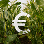 Pagamenti Pac, il Piemonte accelera: erogati 336 milioni agli agricoltori Pagamenti Pac, il Piemonte accelera: erogati 336 milioni agli agricoltori