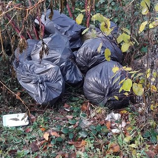 Valmaggiore, scarico illegale di rifiuti nel bosco: individuato il responsabile grazie alla segnalazione di un cittadino Valmaggiore, scarico illegale di rifiuti nel bosco: individuato il responsabile grazie alla segnalazione di un cittadino