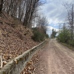 Valduggia, completato l’intervento sulla strada Maretti-Colma: a giugno previsto anche lo sfalcio della vegetazione Valduggia, completato l’intervento sulla strada Maretti-Colma: a giugno previsto anche lo sfalcio della vegetazione
