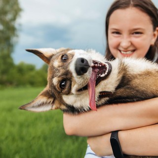 Animali, il caldo può ucciderli: la campagna estiva di LNDC Animal Protection