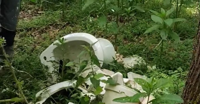 Sanitari abbandonati nei boschi di Gattinara, intervengono i volontari di Salvambiente Sanitari abbandonati nei boschi di Gattinara, intervengono i volontari di Salvambiente
