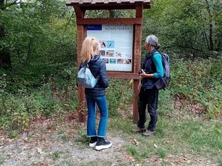 Monte Fenera, 304mila euro per sentieri, pista forestale e area panoramica Monte Fenera, 304mila euro per sentieri, pista forestale e area panoramica