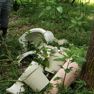Sanitari abbandonati nei boschi di Gattinara, intervengono i volontari di Salvambiente