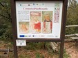 Aree Protette della Valsesia, oltre un milione di euro per sentieri e piste forestali tra Fenera e Alta Valle