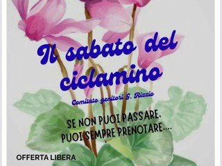 Valduggia, un fine settimana tra sapori, autunno, solidarietà e cultura