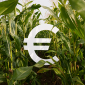 Pagamenti Pac, il Piemonte accelera: erogati 336 milioni agli agricoltori