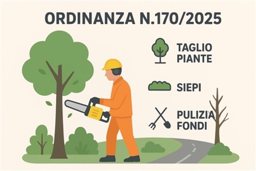 Varallo, ordinanza per la manutenzione di piante e siepi lungo le strade comunali