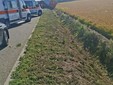 Dal Nord/Ovest, Tronzano Vercellese, scontro tra un’auto e un trattore: morto un uomo di 61 anni