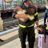 Treno bloccato a 500 metri dalla stazione di Vercelli: assistenza dei Vigili del Fuoco ai viaggiatori Treno bloccato a 500 metri dalla stazione di Vercelli: assistenza dei Vigili del Fuoco ai viaggiatori