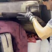 Bloccata la "via dello shisha": stroncato a Torino giro d'affari da 40mila euro Bloccata la "via dello shisha": stroncato a Torino giro d'affari da 40mila euro