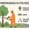 Varallo, ordinanza per la manutenzione di piante e siepi lungo le strade comunali