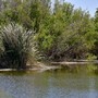 Risorse idriche, in arrivo dal Masaf oltre 3,3 milioni per microinvasi e interventi irrigui in agricoltura Risorse idriche, in arrivo dal Masaf oltre 3,3 milioni per microinvasi e interventi irrigui in agricoltura