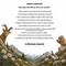 Valsesia, dieci regole per vivere la montagna con rispetto e consapevolezza Valsesia, dieci regole per vivere la montagna con rispetto e consapevolezza