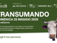 Torna nel Biellese &quot;Transumando 2025&quot;: domenica 25 maggio la 25a edizione