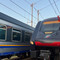 Treno in avaria alla periferia di Vercelli, 400 persone bloccate a bordo: disagi per i pendolari