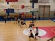 Under 13 Silver, Valsesia Basket cade a Serravalle Scrivia ma reagisce nel secondo tempo Under 13 Silver, Valsesia Basket cade a Serravalle Scrivia ma reagisce nel secondo tempo