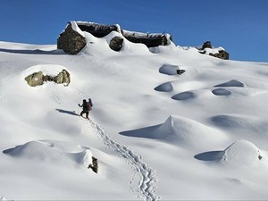 Allerta meteo in Piemonte: neve e valanghe, nevicate anche in pianura Allerta meteo in Piemonte: neve e valanghe, nevicate anche in pianura