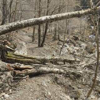Sentieri del Vallone di Roj liberati dopo il maltempo: intervento del Parco nell’area sopra Fobello