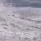 Il baby baywatch e il salvataggio eroico tra le onde del Pacifico