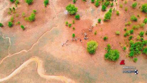Ambiente: Neya del Gruppo Mundys pianta 2.500 ettari di mangrovie in Madagascar Ambiente: Neya del Gruppo Mundys pianta 2.500 ettari di mangrovie in Madagascar