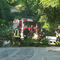 Maltempo, ancora alberi sulla strada: interventi a Strona, Pray e Curino (foto di repertorio)