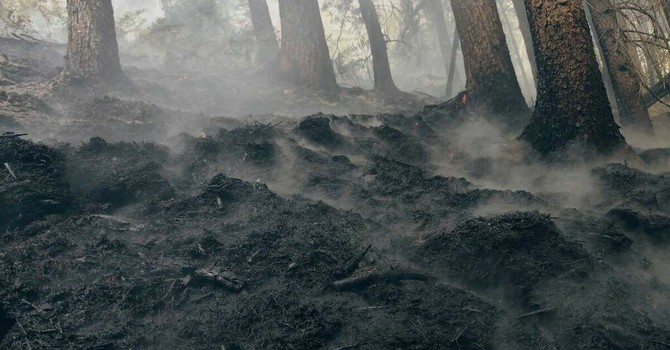 Monte Barone: il peggio è passato, ma l'incendio cela insidie Monte Barone: il peggio è passato, ma l'incendio cela insidie