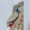 Due alpinisti bloccati sul Dente Gigante in Valle d'Aosta, le immagini dei soccorsi Due alpinisti bloccati sul Dente Gigante in Valle d'Aosta, le immagini dei soccorsi