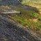 Da Vercelli: Incendio di sterpaglie lungo la A26/A4, intervento dei Vigili del Fuoco a Vercelli Da Vercelli: Incendio di sterpaglie lungo la A26/A4, intervento dei Vigili del Fuoco a Vercelli