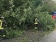 Crolla albero sulla strada, a Valdilana arrivano i Vigili del Fuoco (foto di repertorio) Crolla albero sulla strada, a Valdilana arrivano i Vigili del Fuoco (foto di repertorio)