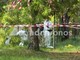 Roma, trovato cadavere in un parco a Tor Sapienza: in corso i rilievi della scientifica Roma, trovato cadavere in un parco a Tor Sapienza: in corso i rilievi della scientifica