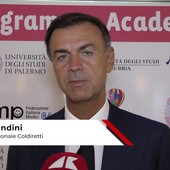 Alimentazione: Prandini (Coldiretti), 'fare rete per valorizzare cibo di qualità' Alimentazione: Prandini (Coldiretti), 'fare rete per valorizzare cibo di qualità'