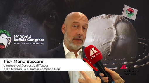 Saccani (Consorzio Tutela Mozzarella di bufala campana Dop): "Aprire all'innovazione per difendere la tipicità" Saccani (Consorzio Tutela Mozzarella di bufala campana Dop): "Aprire all'innovazione per difendere la tipicità"