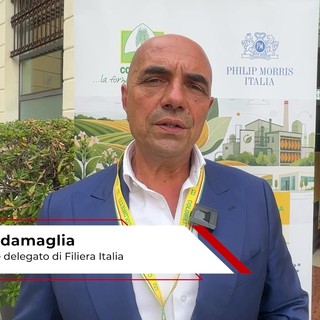 Tabacco, Scordamaglia (Filiera Italia): "Con accordo di filiera 9.800 occupati in Veneto" Tabacco, Scordamaglia (Filiera Italia): "Con accordo di filiera 9.800 occupati in Veneto"