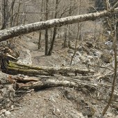 Sentieri del Vallone di Roj liberati dopo il maltempo: intervento del Parco nell’area sopra Fobello