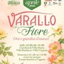 Varallo in Fiore torna ad aprile con orti e giardini d’autore nel cuore della città Varallo in Fiore torna ad aprile con orti e giardini d’autore nel cuore della città