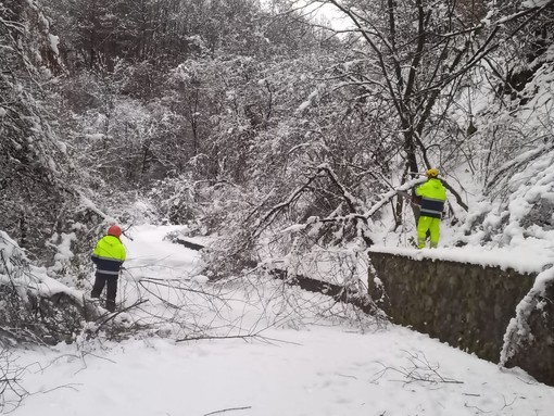 Neve e piante cadute: Volontari Aib di Valdilana, Crevacuore e Val Sessera in azione FOTO e VIDEO