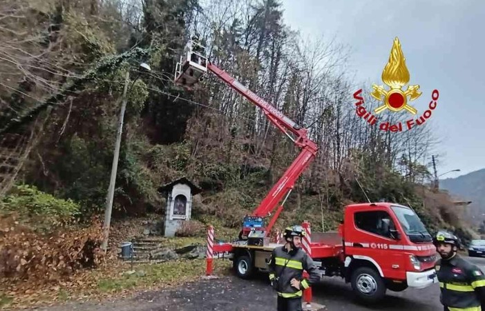 Alberi pericolanti a Baraggiolo, intervengono i vigili del fuoco Alberi pericolanti a Baraggiolo, intervengono i vigili del fuoco