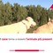 Un italiano su tre vive con un animale da compagnia