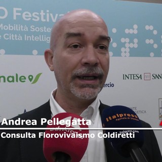 Sostenibilità, Pellegatta (Coldiretti): 'alberi contrastano effetti negativi del cambiamento climatico' Sostenibilità, Pellegatta (Coldiretti): 'alberi contrastano effetti negativi del cambiamento climatico'