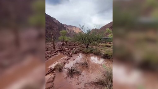 Inondazione improvvisa al Grand Canyon, le immagini dell'onda di fango Inondazione improvvisa al Grand Canyon, le immagini dell'onda di fango