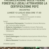 A Varallo un incontro sulla valorizzazione delle filiere forestali locali