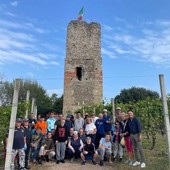 Gattinara, si chiude la vendemmia al vigneto sperimentale della Torre delle Castelle